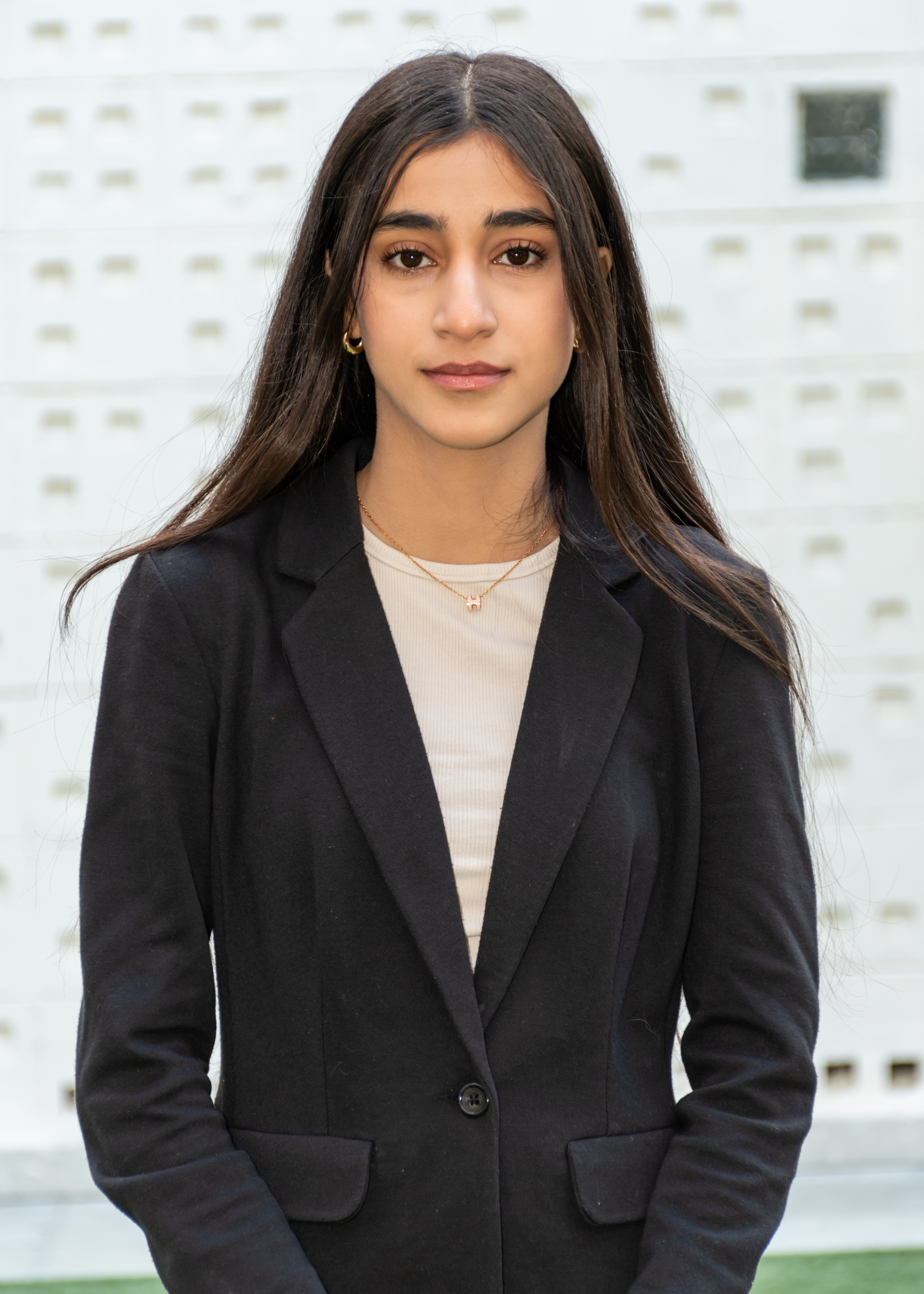 Director General of Design