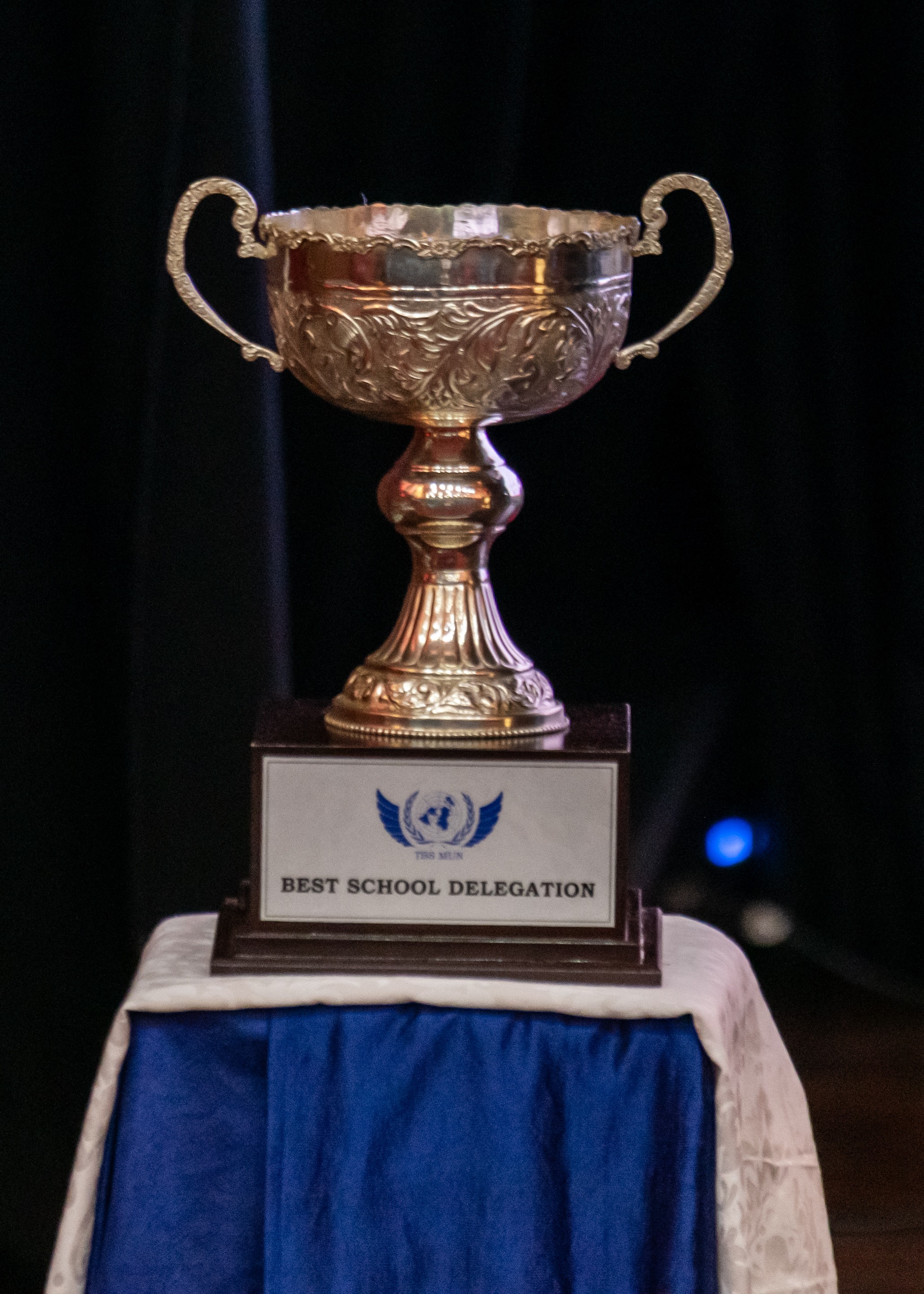 Best School Delegation trophy